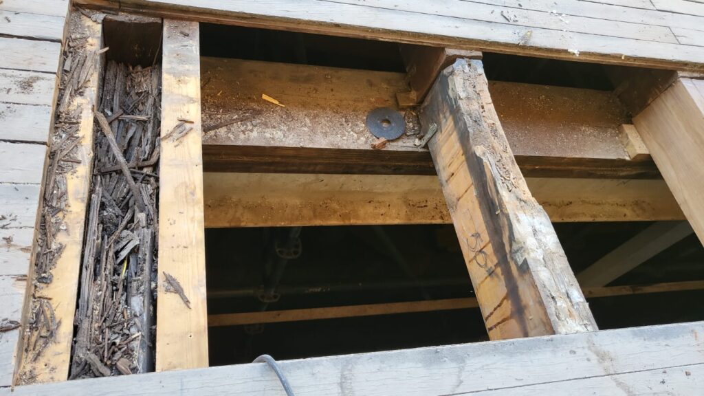 Rehabilitación del Teatro Romano de Sagunto