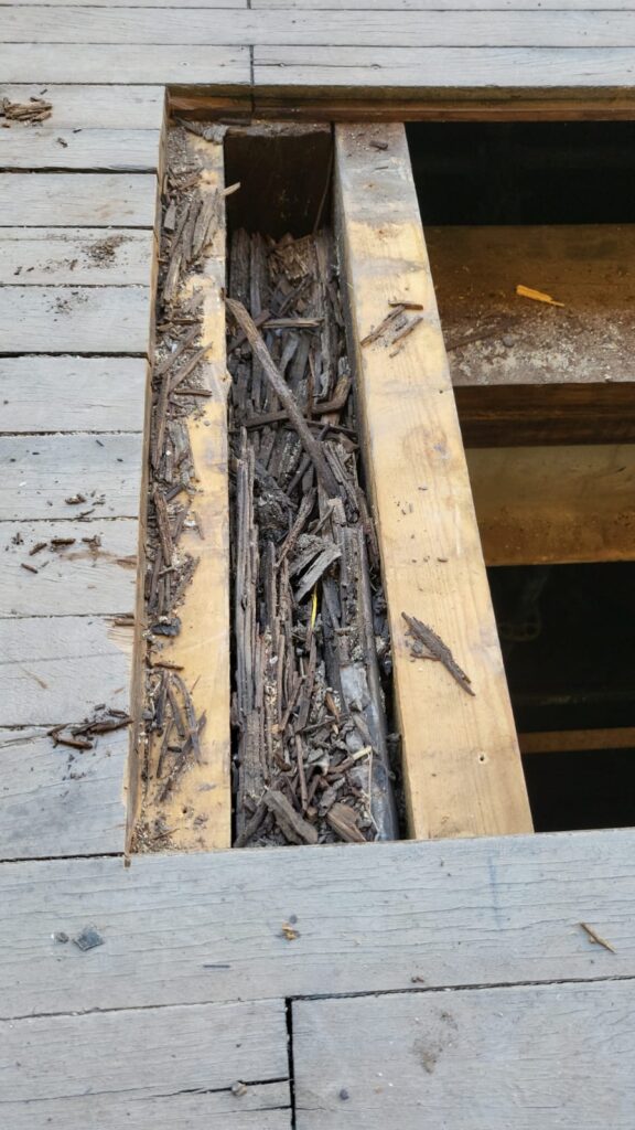 Rehabilitación del Teatro Romano de Sagunto