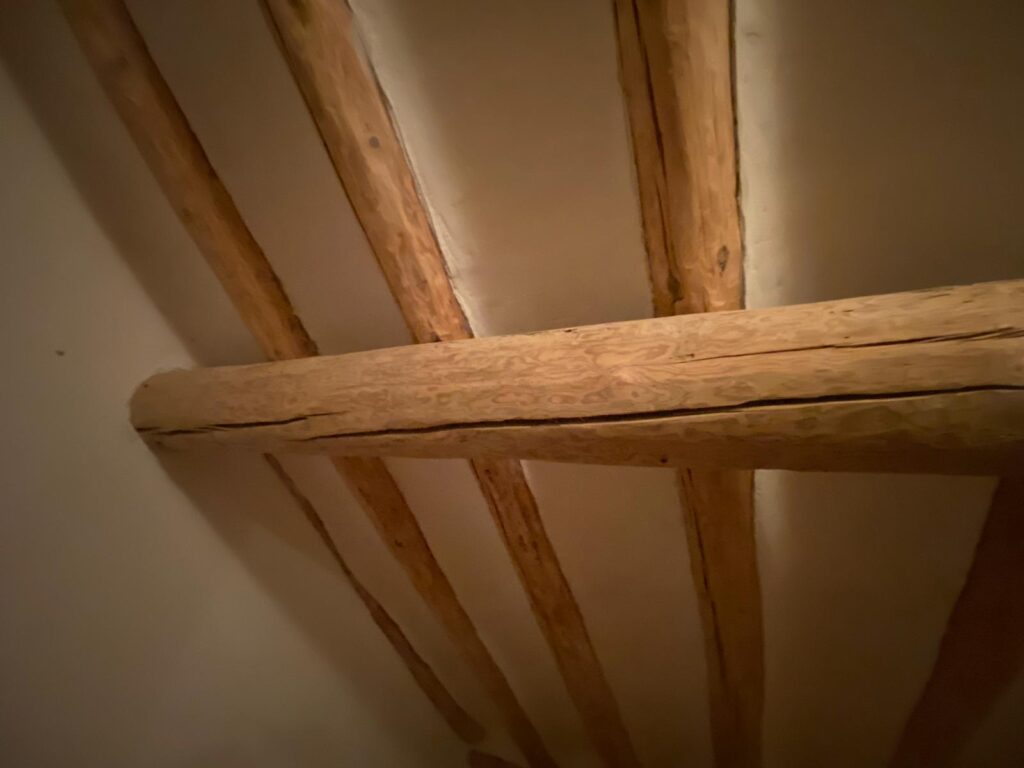 Restauración y Rehabilitación en el Histórico Molino de Bronchales