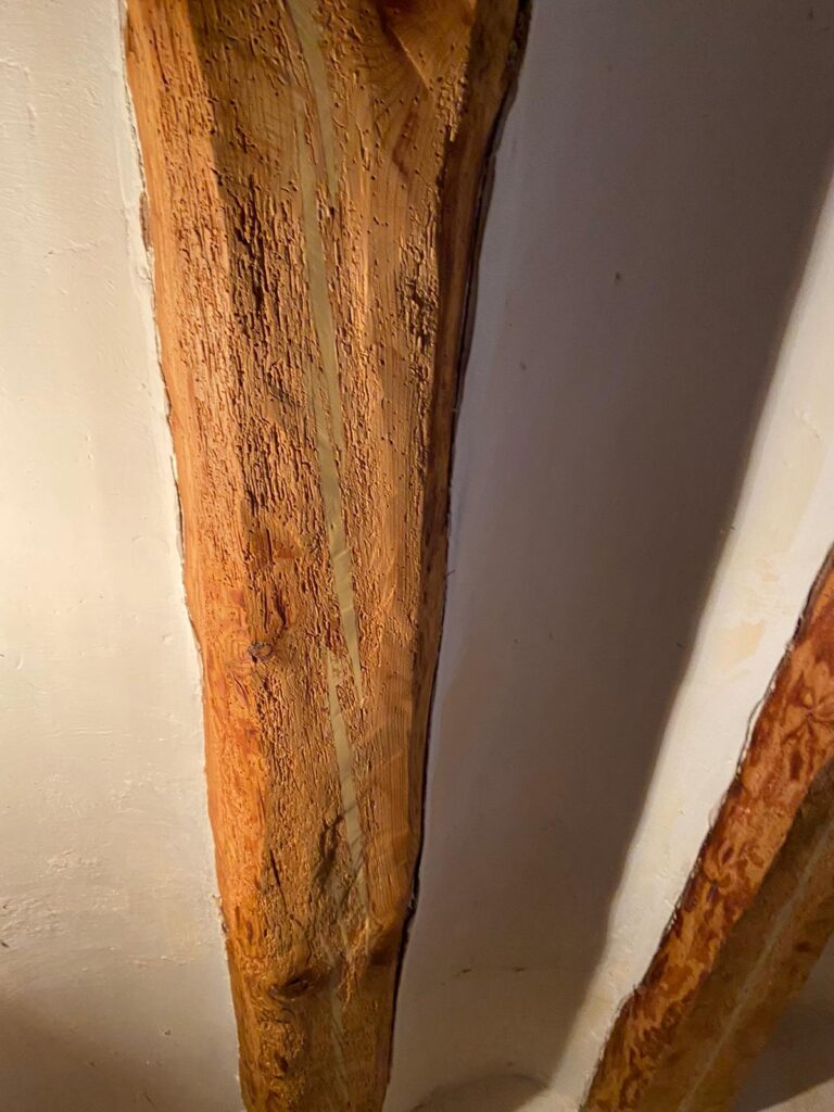 Restauración y Rehabilitación en el Histórico Molino de Bronchales