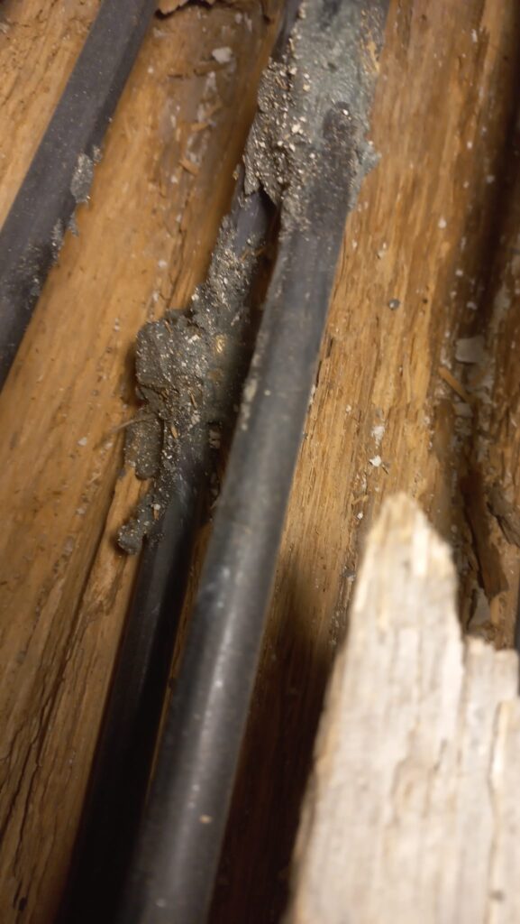 Restauración y Rehabilitación en el Histórico Molino de Bronchales