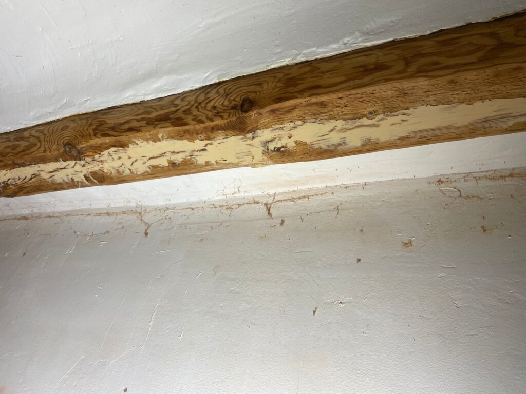 Restauración y Rehabilitación en el Histórico Molino de Bronchales