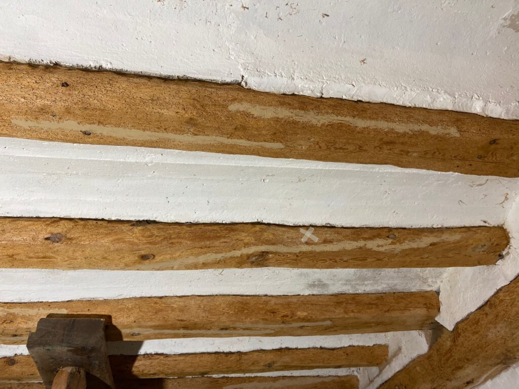 Restauración y Rehabilitación en el Histórico Molino de Bronchales