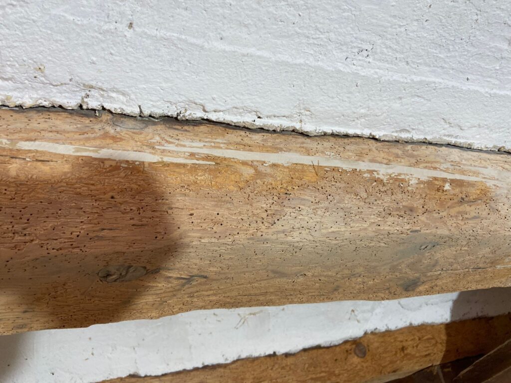 Restauración y Rehabilitación en el Histórico Molino de Bronchales