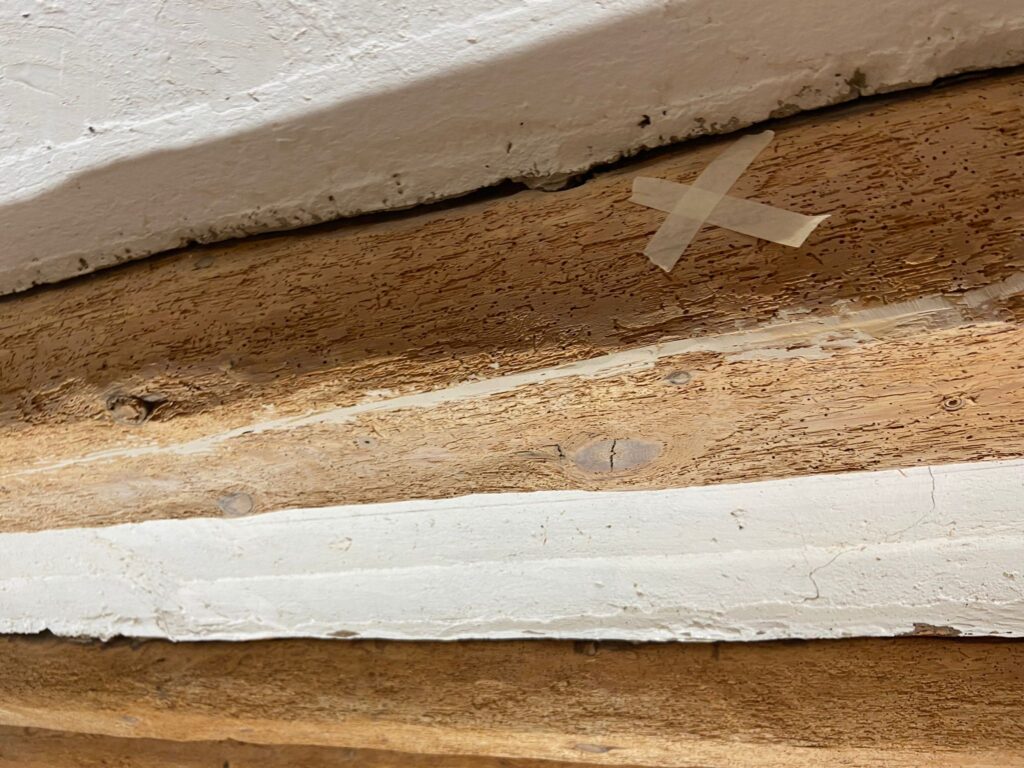 Restauración y Rehabilitación en el Histórico Molino de Bronchales