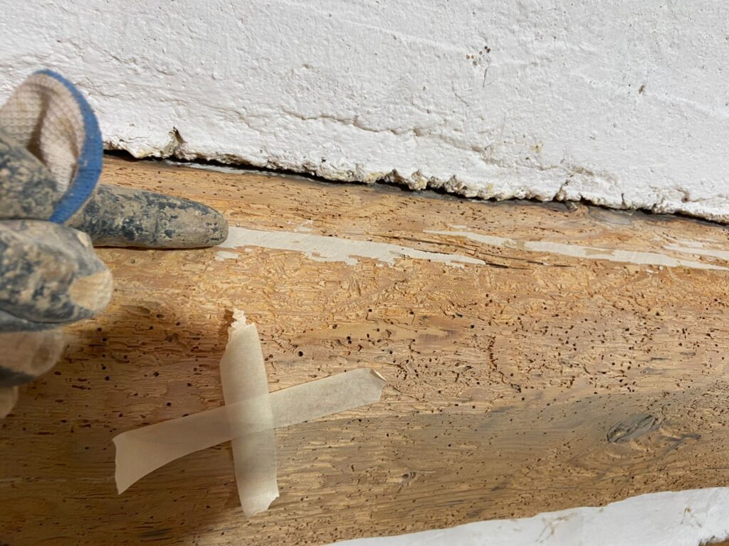 Restauración y Rehabilitación en el Histórico Molino de Bronchales