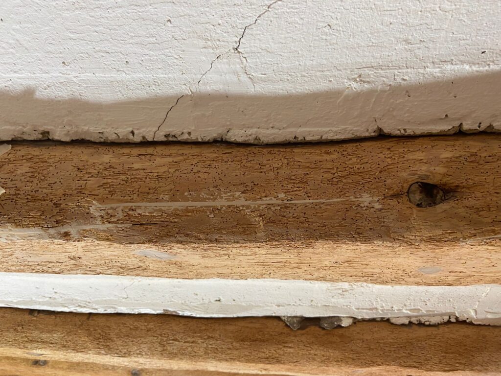 Restauración y Rehabilitación en el Histórico Molino de Bronchales