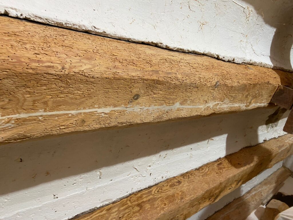 Restauración y Rehabilitación en el Histórico Molino de Bronchales