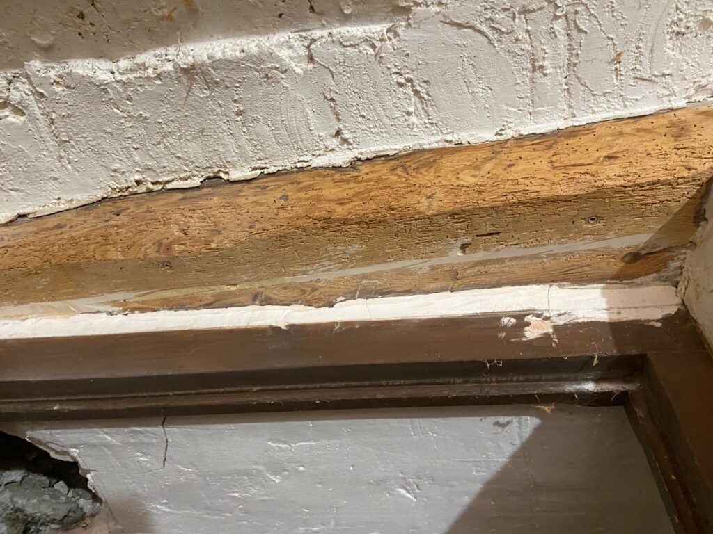 Restauración y Rehabilitación en el Histórico Molino de Bronchales