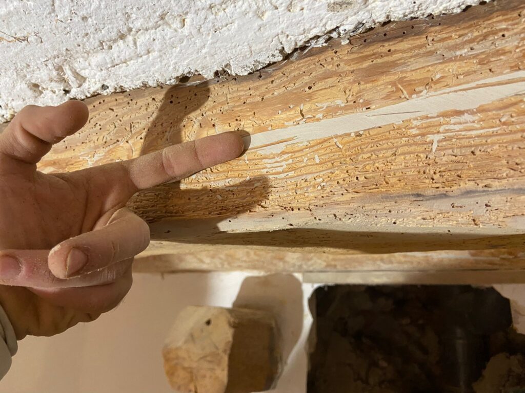 Restauración y Rehabilitación en el Histórico Molino de Bronchales