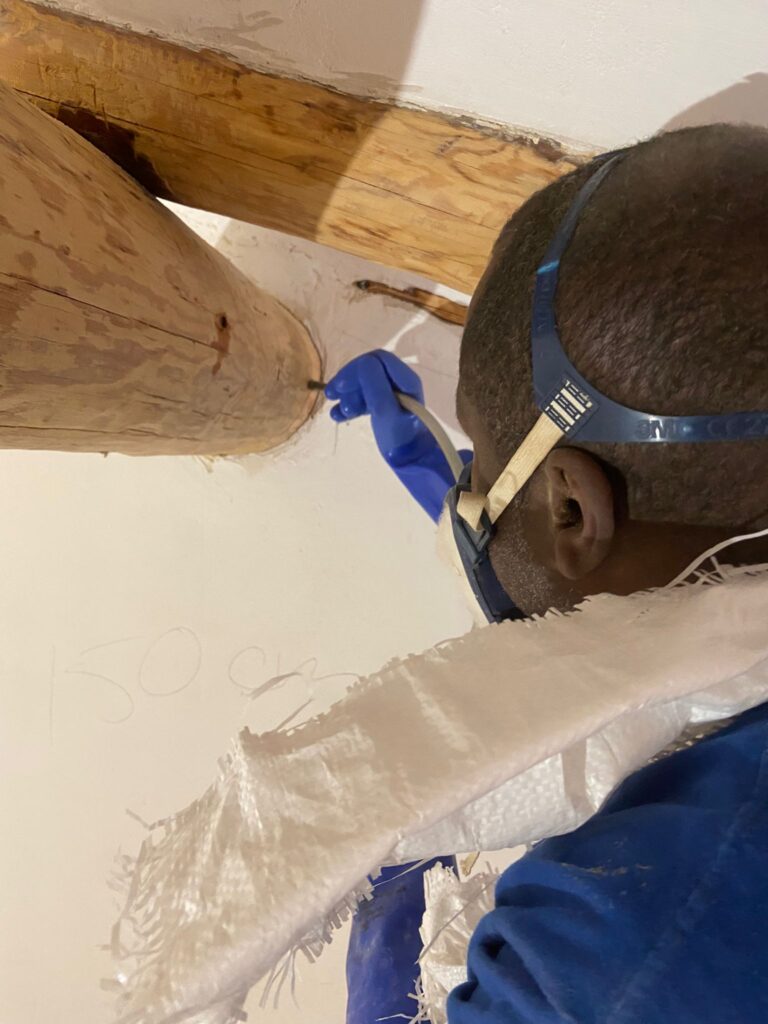 Restauración y Rehabilitación en el Histórico Molino de Bronchales